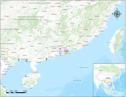 Microplastic Contamination on the Beaches of South China